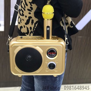 Mic hát KARAOKE BLUETOOTH SD501 giá siêu rẻ