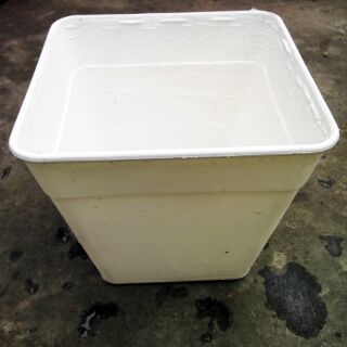 Chậu vuông 14cmx cao12cm