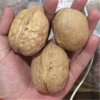 1kg Quả óc chó Lào cai