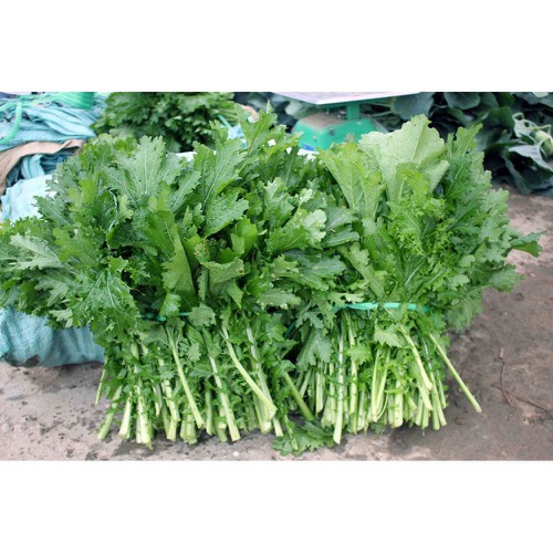 Hạt giống cải mèo, cải lá xẻ 20gr