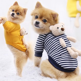 Áo hình gấu bông cho thú cưng