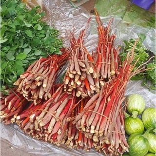 Sâm Cau đỏ [Nông Sản Tây Bắc]