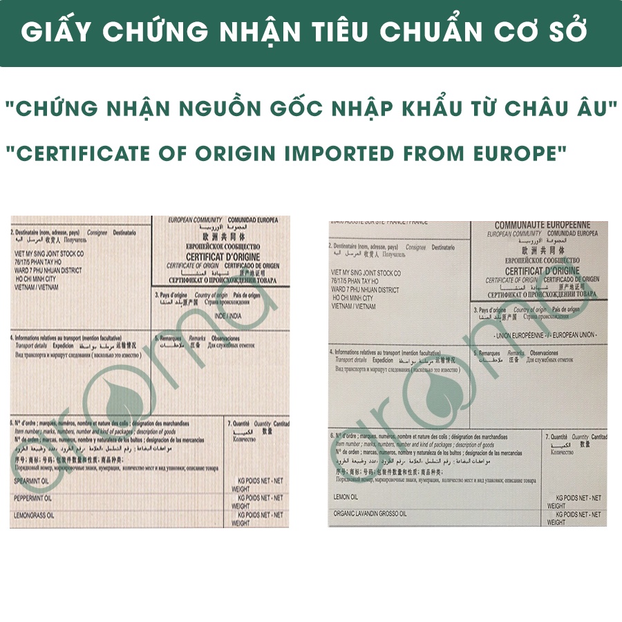 Nến thơm tinh dầu Crysbella Sandal (Hương hoa)