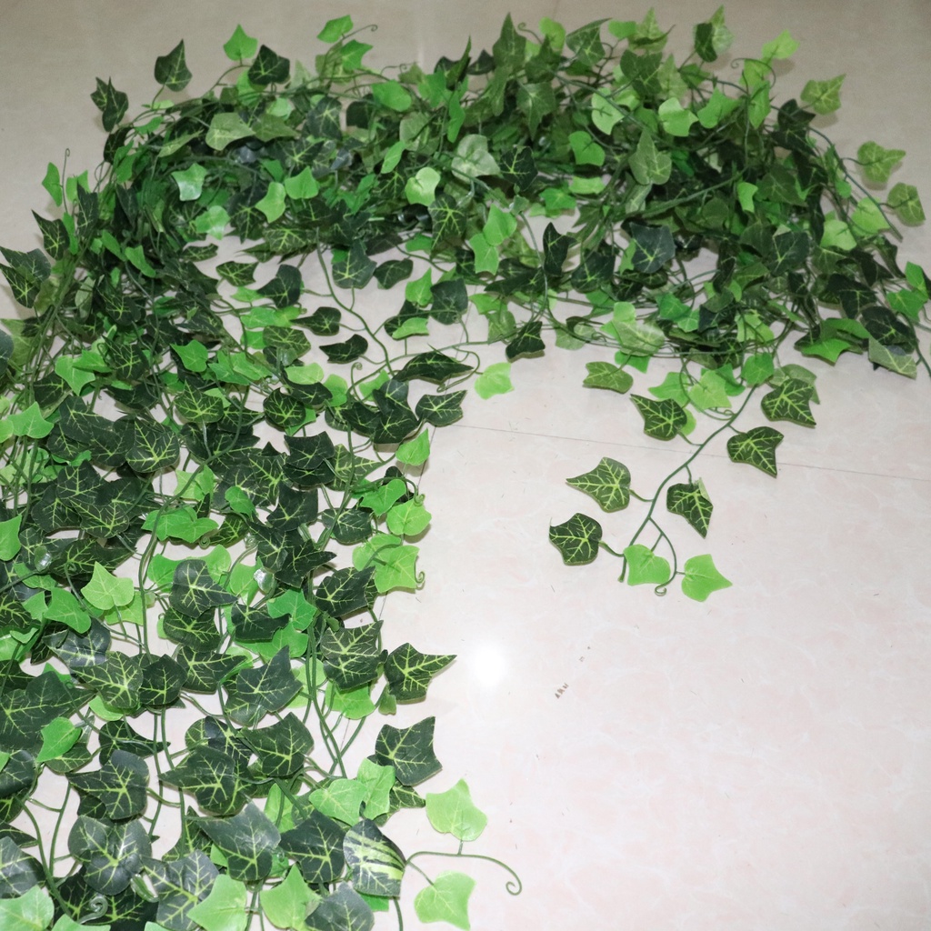Dây Thường Xuân Giả Trang Trí Dài 2m
