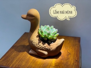 Chậu Gà, Vịt đất nung