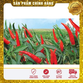 Hạt Giống Ớt Chỉ Thiên(30 hạt)