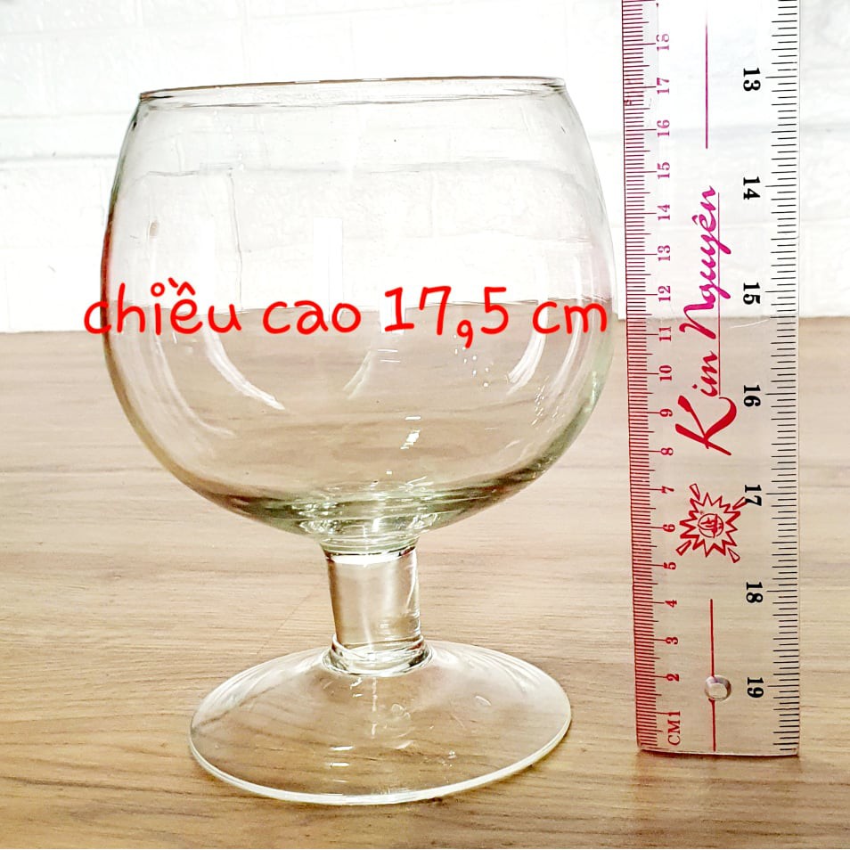 Chậu Thủy Tinh Nuôi Cá Cảnh Trang Trí Dáng Ly