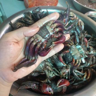 Ba khía con 500 gr