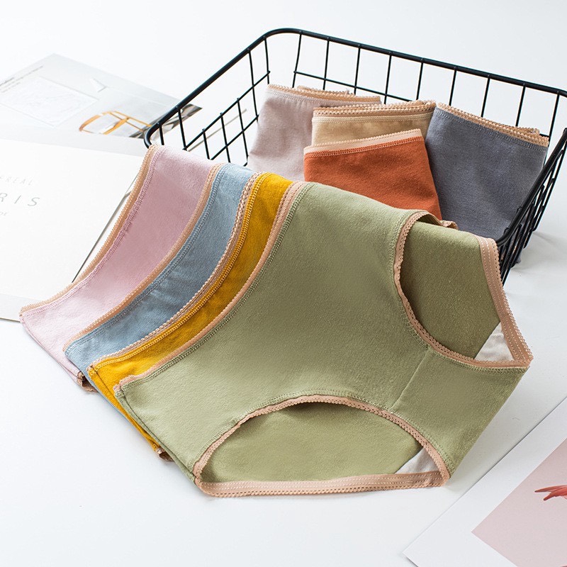 Quần Lót Cotton Sợi Bông Đa Sắc Cao Cấp 100