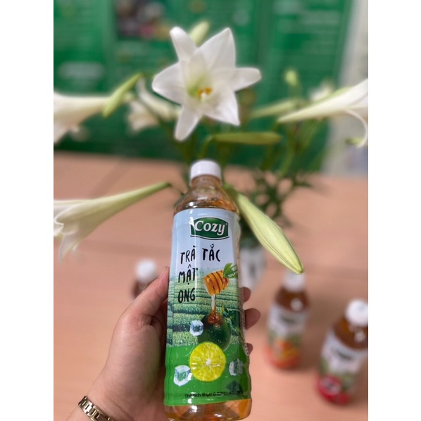 Trà Cozy chai uống liền 350ml