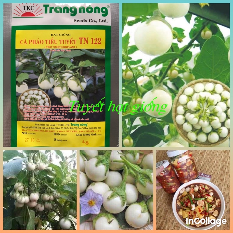 200 hạt giống cà pháo trắng siêu quả Trang Nông
