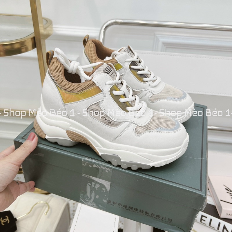 Giày thể thao sneaker độn đế cao lót viền nâu fullbox hàng quảng châu cao cấp