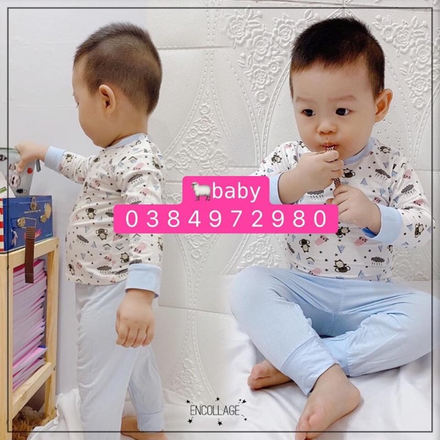 Bộ Dài Tay Ava ler Họa Tiết Động Vật Nền Trắng Dễ Thương Cho Bé (6-19kg)