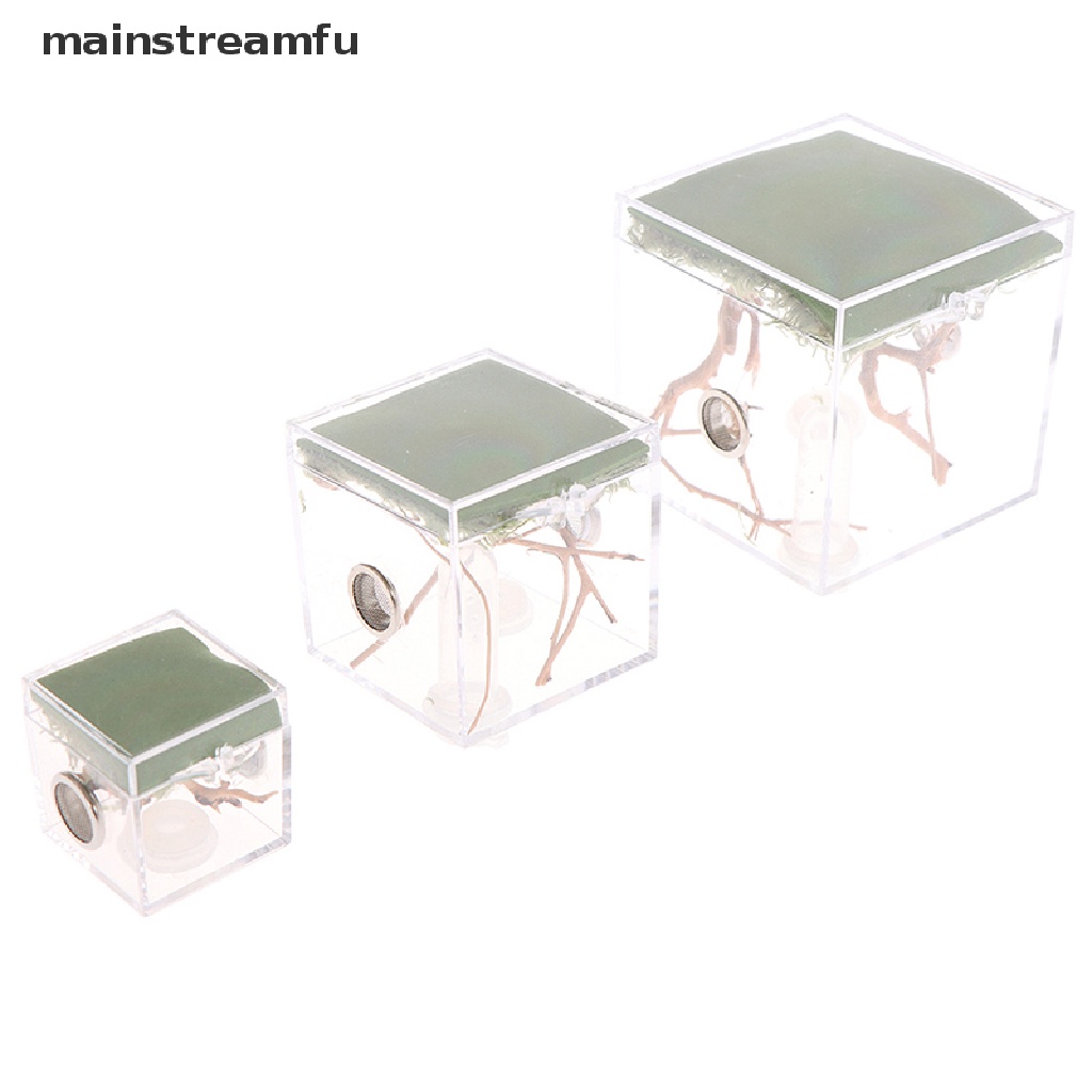 Hộp Nuôi Bò Sát Côn Trùng Nhỏ Trong Suốt Màu Đen Mới [Mainnstreamfu]