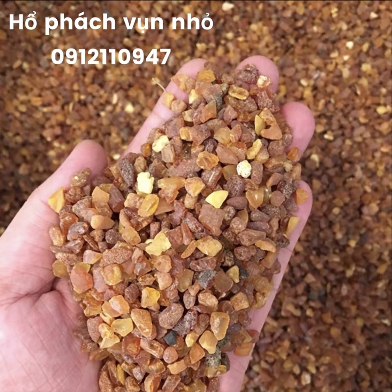Hổ phách vụn Baltic