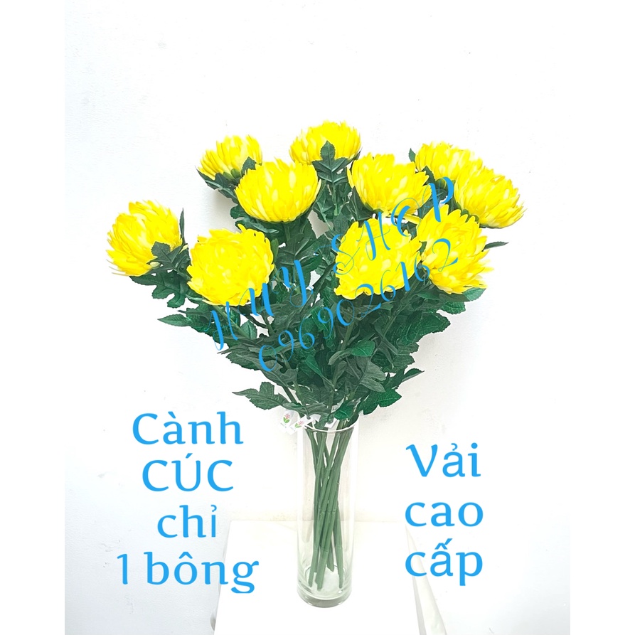 Cành Hoa CÚC CHỈ, Cúc Đại Đóa 1 Bông Vải cao cấp