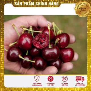 HẠT GIỐNG QUẢ CHERY (ANH ĐÀO) - 10 hạt