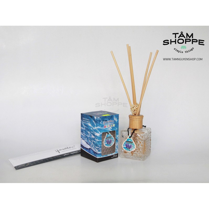 Bộ Que mây tinh dầu chai thủy tinh vuông que trắng TAN