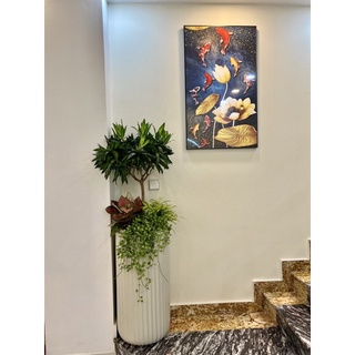 Chậu xi măng khía trụ cao