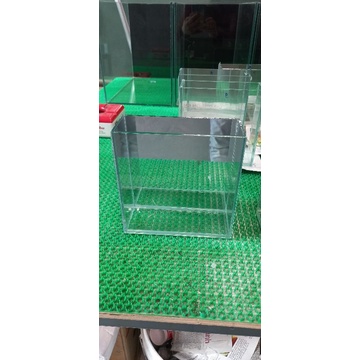 Keo Show Gương betta