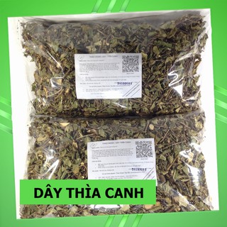 Cây Thìa Canh Chữa Tiểu Đường 💚FREESHIP💚 Hàng Hòa Bình