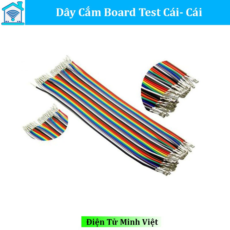 Dây Cắm Board Test Cái Cái 20Cm (40 Sợi)