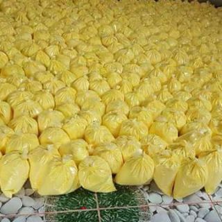 VIÊN TINH NGHỆ MẬT ONG