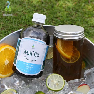 Mật Trà Kombucha Thảo Mộc 500ml