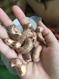 Hạt điều rang muối vỏ lụa