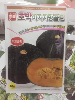 HẠT GIỐNG BÍ KABOCHA HÀN QUỐC