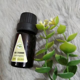 Tinh dầu xả chanh lọ 10ml