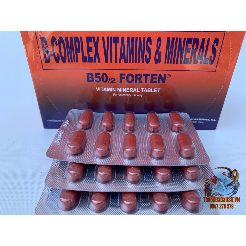 Thuốc Nuôi Gà Đá B-Complex B50/2 FORTEN Cung Cấp Hổn Hợp Các Vitamin Và Khoáng Chất ( 2 Vỉ 20 Viên)