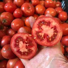 Cà Chua tươi ngon - giao hỏa tốc Hà Nội 1h