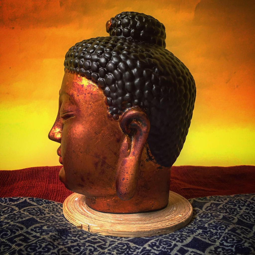  Tượng đầu Phật Thích Ca giả cổ, cốt đá ép phủ sơn mài