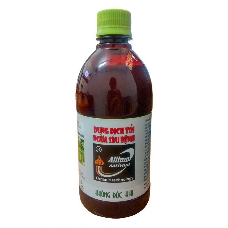 Dung dịch tỏi ngừa sâu bệnh chai 500ml - Thuốc diệt sâu sinh học từ Tỏi Alium Sativum