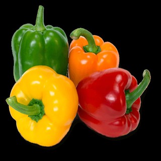 hạt giống ớt chuông ngọt nhiều màu gói 30 hạt