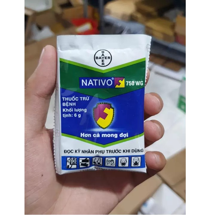 Thuốc trừ bệnh cây trồng NATIVO 750WG ( ĐẶC TRỊ BỆNH PHẤN TRẮNG TRÊN HOA HỒNG)