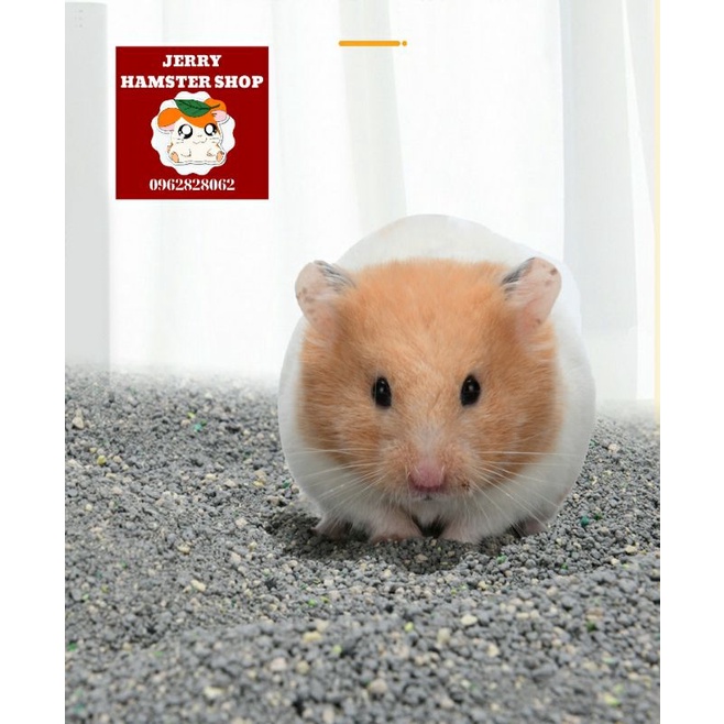 Cát tắm quặng Natri cao cấp 2.5kg cho hamster và thú cưng nhỏ