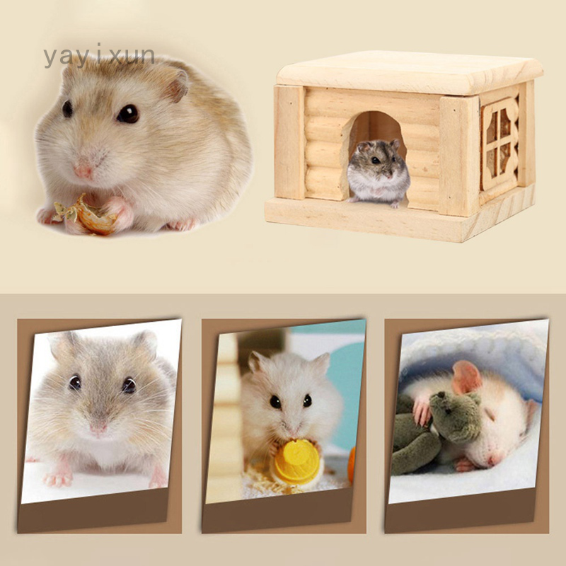 Nhà Gỗ Dễ Thương Thân Thiện Với Môi Trường Cho Chuột Hamster
