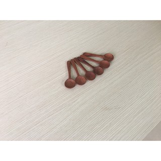 Thìa , muỗng gỗ NHÃN nhỏ múc gia vị màu nâu (Bộ 6 chiếc)9cmx3cm-TG22