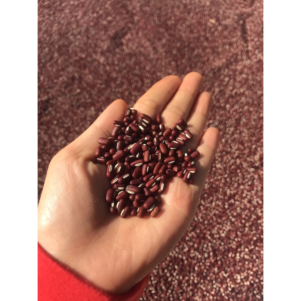 Xích tiểu đậu An Hòa Farm thuộc miền núi Khánh Sơn gói 1000gram