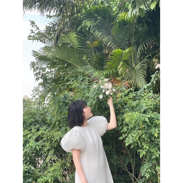 LIIN - Váy tay bồng dập ly