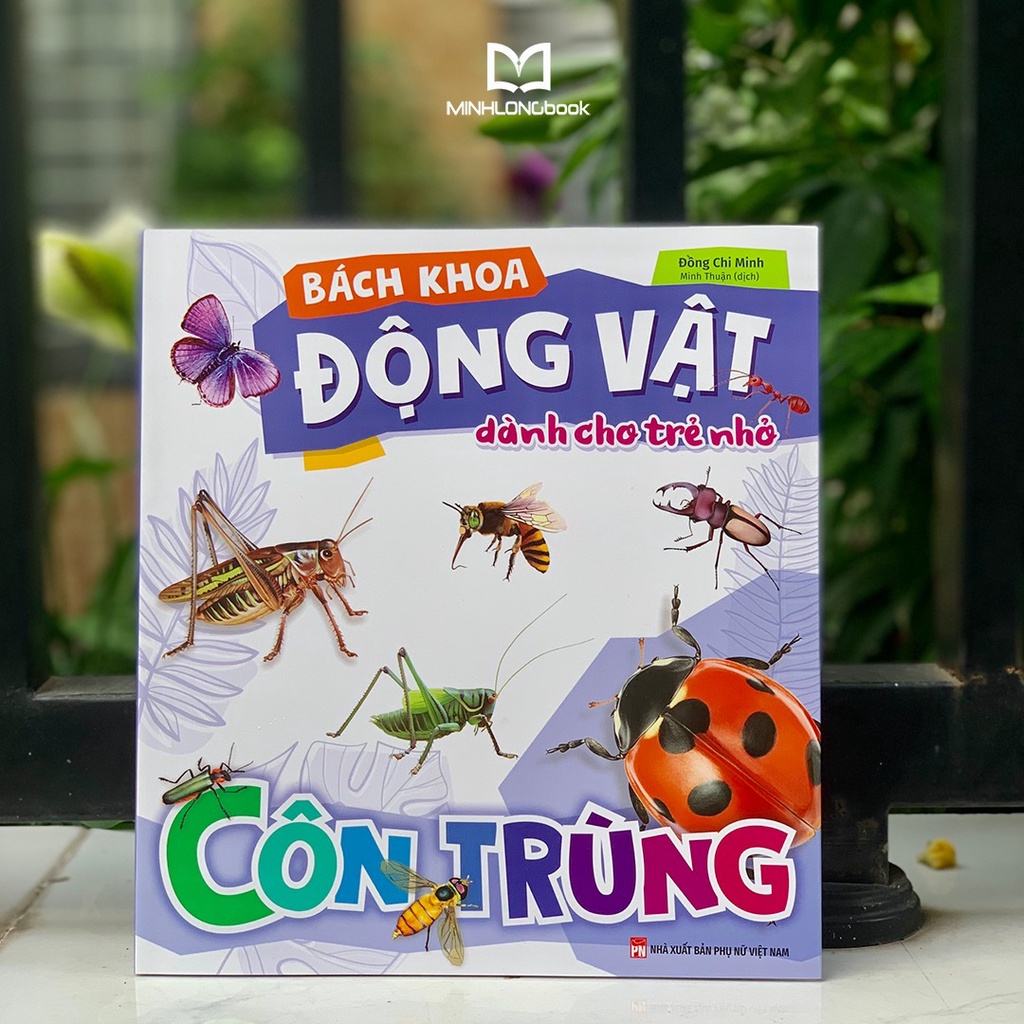 Sách - Bách Khoa Động Vật Dành Cho Trẻ Nhỏ - Côn Trùng