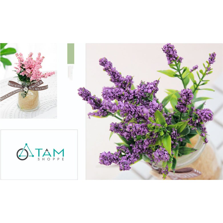 Chậu hoa nhỏ để bàn Lavender số 77 TTTM