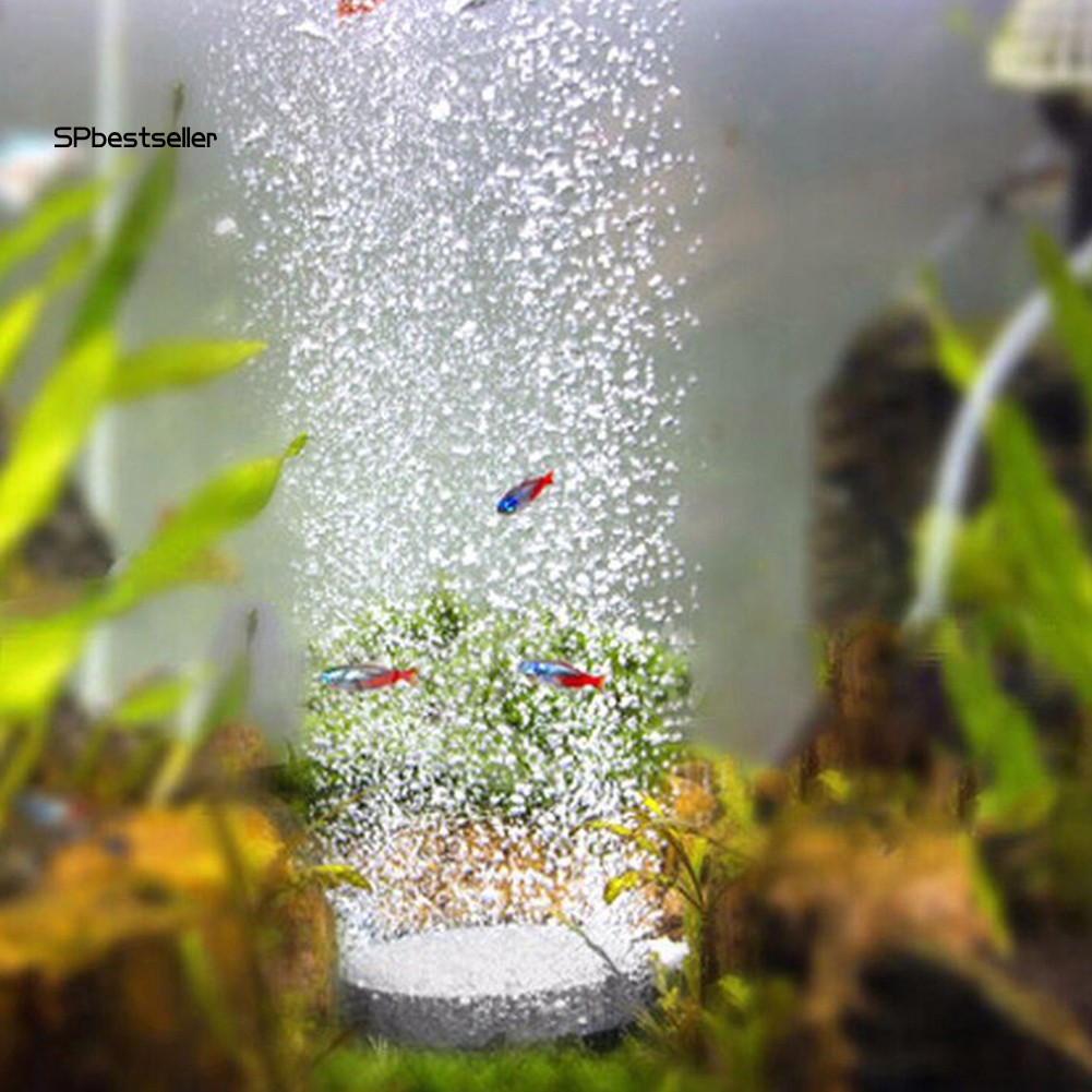 Đá Tạo Bọt Khí Oxy Tiện Dụng Cho Bể Cá 10/13/20cm