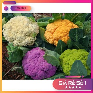 Hạt giống Súp lơ nhiều màu (10 hạt)