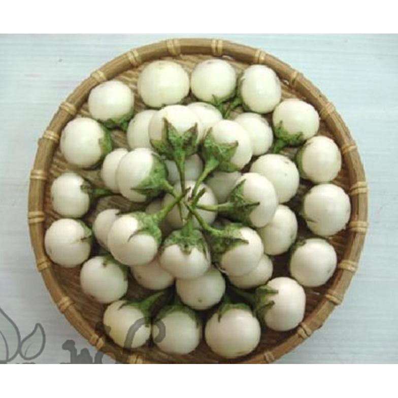 Hạt cà pháo trắng - gói 1 gram