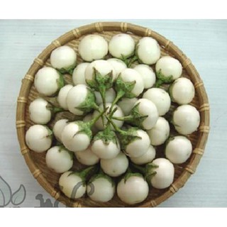 Hạt cà pháo trắng - gói 1 gram