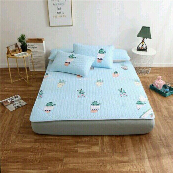 Chiếu điều hòa Tencel ĐẸP xương rồng
