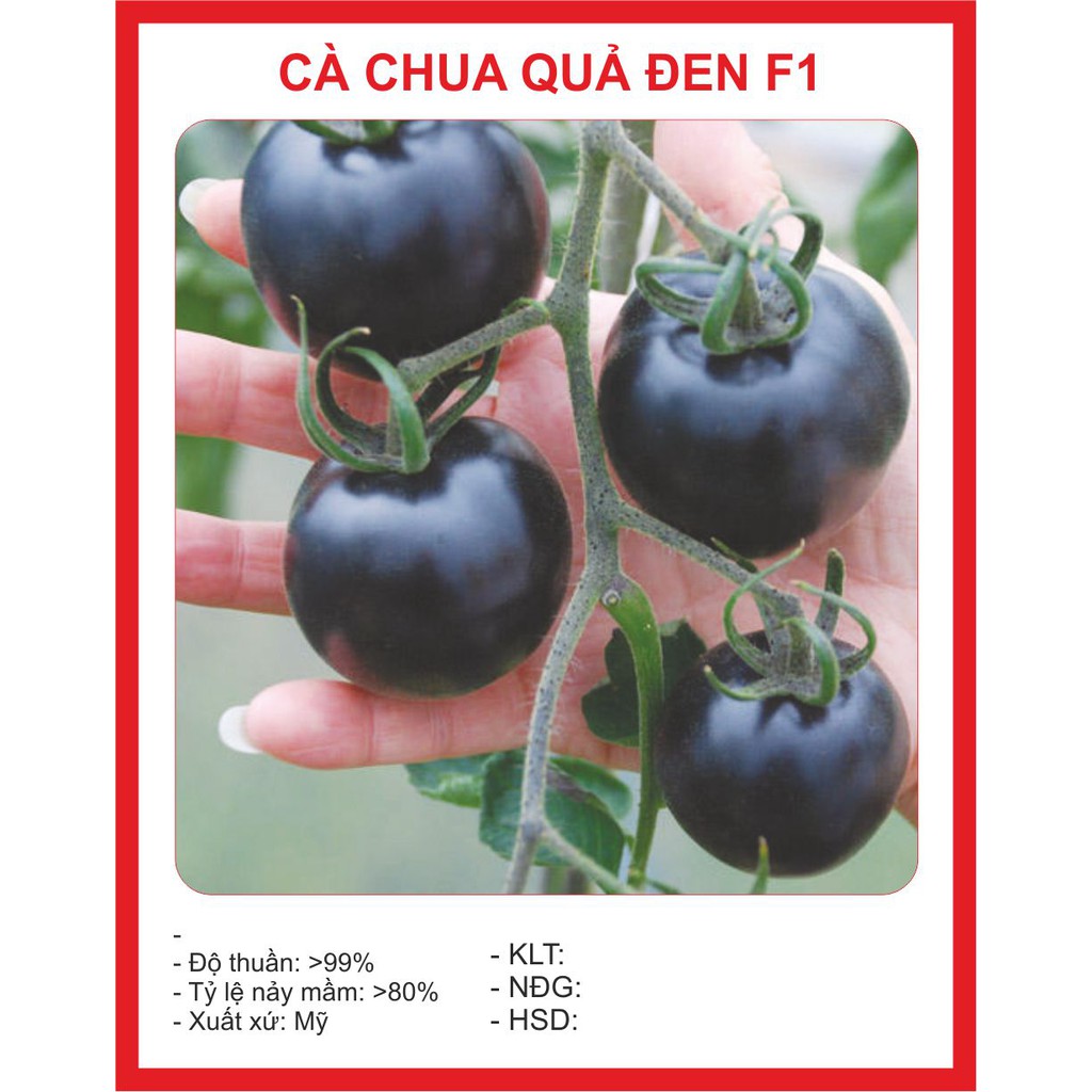 Hạt Giống Cà Chua Đen